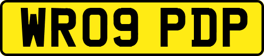 WR09PDP