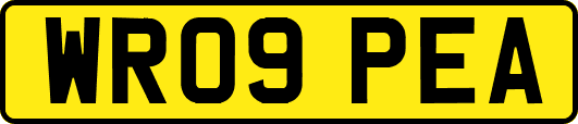 WR09PEA