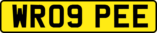 WR09PEE