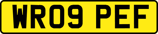 WR09PEF
