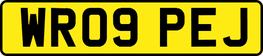 WR09PEJ