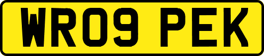 WR09PEK