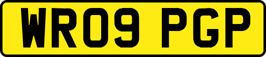 WR09PGP