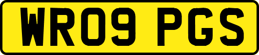 WR09PGS
