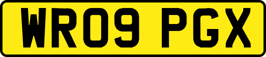 WR09PGX