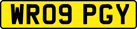 WR09PGY