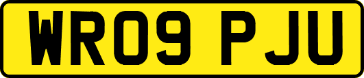 WR09PJU