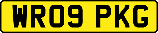 WR09PKG