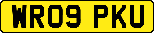 WR09PKU