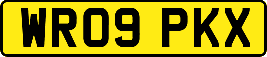 WR09PKX