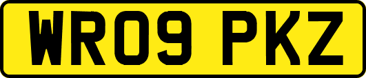 WR09PKZ