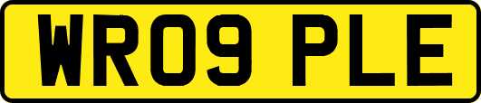 WR09PLE