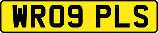 WR09PLS