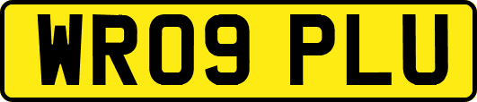 WR09PLU