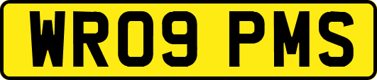 WR09PMS