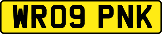 WR09PNK