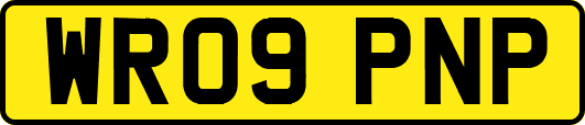 WR09PNP