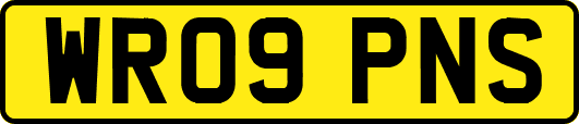 WR09PNS