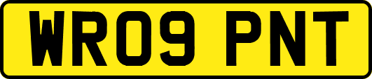 WR09PNT