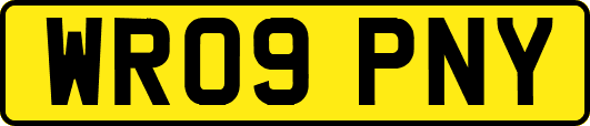 WR09PNY
