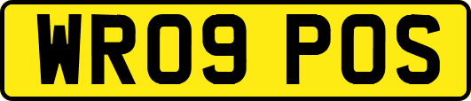 WR09POS