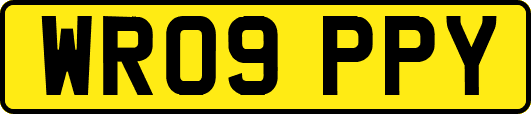 WR09PPY
