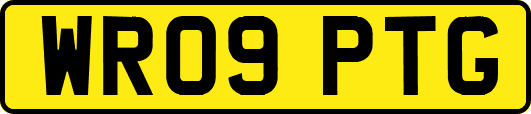 WR09PTG