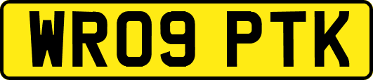 WR09PTK