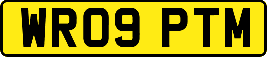 WR09PTM