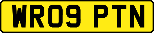WR09PTN