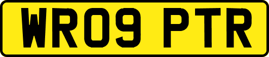 WR09PTR