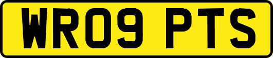 WR09PTS