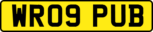 WR09PUB