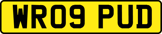 WR09PUD