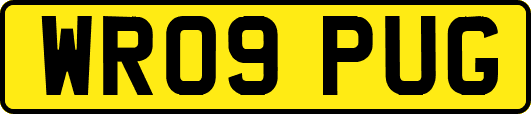 WR09PUG
