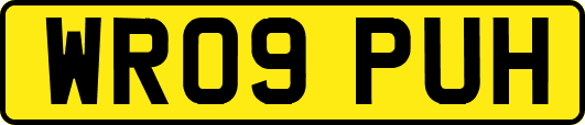 WR09PUH