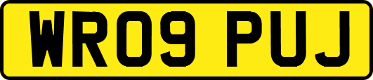WR09PUJ