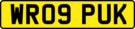 WR09PUK