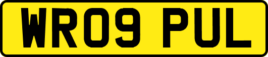 WR09PUL