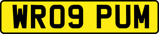 WR09PUM