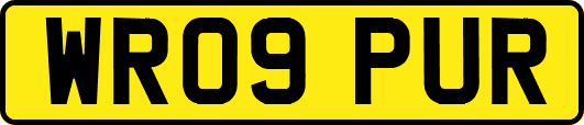 WR09PUR