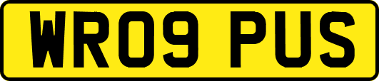 WR09PUS