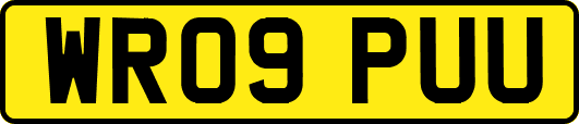 WR09PUU