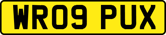 WR09PUX