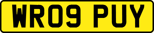 WR09PUY
