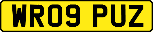 WR09PUZ