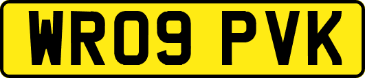 WR09PVK