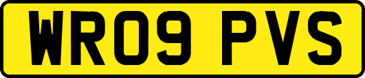 WR09PVS
