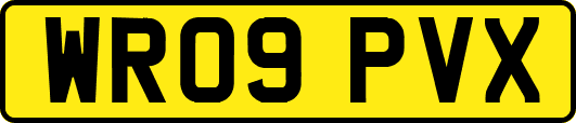 WR09PVX