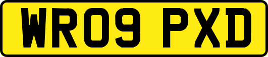 WR09PXD